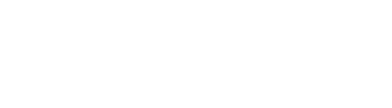 Logo Biesbosch Assuradeuren Anno 2000 B.V., financieel dienstverlener, vergunning: 12006375 (NL)