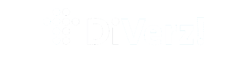 Logo DiVerz!, schadeverzekeraar, vergunning: 12047697 (NL)