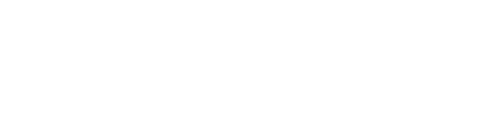 Logo Turien & Co., schadeverzekeraar, vergunning: 12043523 (NL)